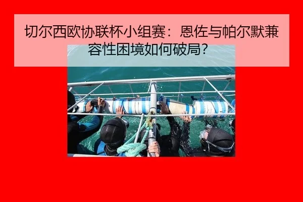切尔西欧协联杯小组赛：恩佐与帕尔默兼容性困境如何破局？