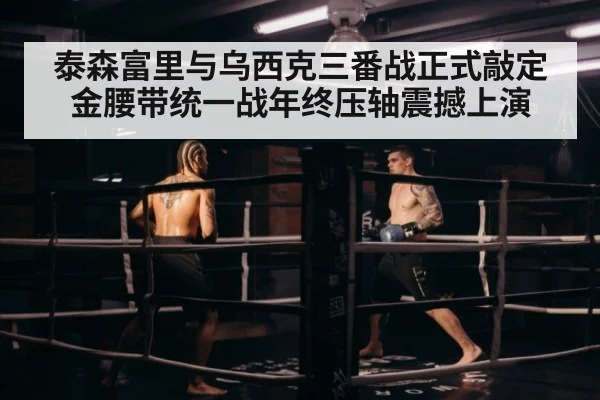 泰森富里与乌西克三番战正式敲定金腰带统一战年终压轴震撼上演